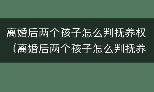 离婚后两个孩子怎么判抚养权（离婚后两个孩子怎么判抚养权归谁）