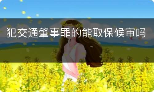 犯交通肇事罪的能取保候审吗