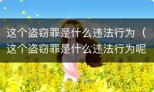 这个盗窃罪是什么违法行为（这个盗窃罪是什么违法行为呢）