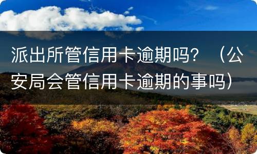 派出所管信用卡逾期吗？（公安局会管信用卡逾期的事吗）