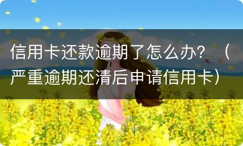 信用卡还款逾期了怎么办？（严重逾期还清后申请信用卡）