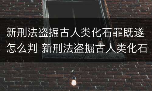新刑法盗掘古人类化石罪既遂怎么判 新刑法盗掘古人类化石罪既遂怎么判定