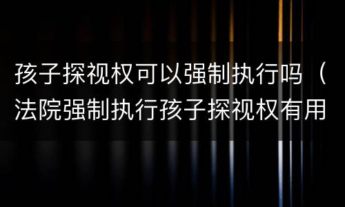 孩子探视权可以强制执行吗（法院强制执行孩子探视权有用吗）