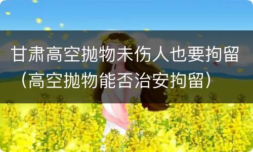 甘肃高空抛物未伤人也要拘留（高空抛物能否治安拘留）