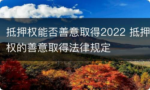 抵押权能否善意取得2022 抵押权的善意取得法律规定