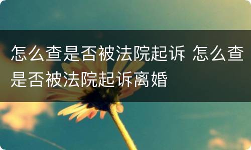 怎么查是否被法院起诉 怎么查是否被法院起诉离婚