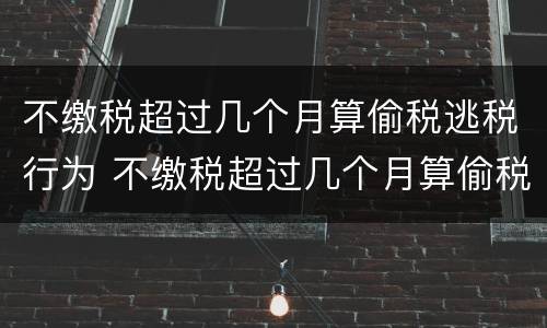 不缴税超过几个月算偷税逃税行为 不缴税超过几个月算偷税逃税行为呢