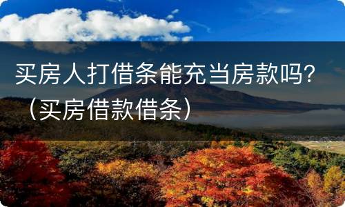 买房人打借条能充当房款吗？（买房借款借条）