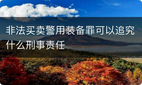 非法买卖警用装备罪可以追究什么刑事责任