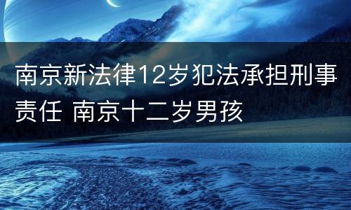 南京新法律12岁犯法承担刑事责任 南京十二岁男孩