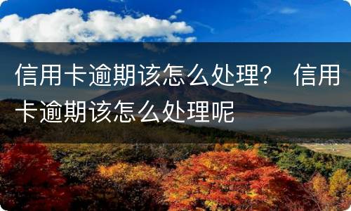 信用卡逾期该怎么处理？ 信用卡逾期该怎么处理呢