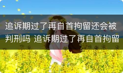 追诉期过了再自首拘留还会被判刑吗 追诉期过了再自首拘留还会被判刑吗