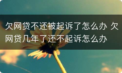 欠网贷不还被起诉了怎么办 欠网贷几年了还不起诉怎么办