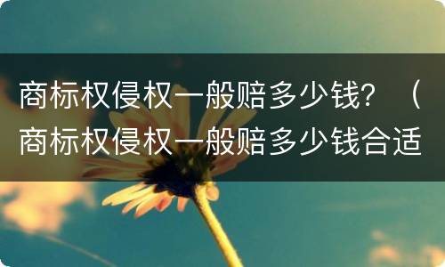 商标权侵权一般赔多少钱？（商标权侵权一般赔多少钱合适）