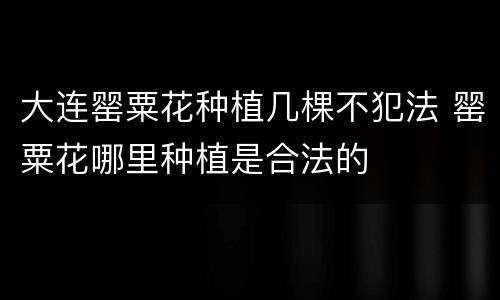 大连罂粟花种植几棵不犯法 罂粟花哪里种植是合法的