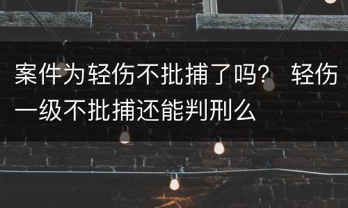 案件为轻伤不批捕了吗？ 轻伤一级不批捕还能判刑么