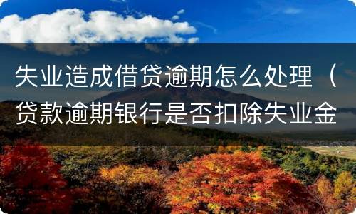 失业造成借贷逾期怎么处理（贷款逾期银行是否扣除失业金）