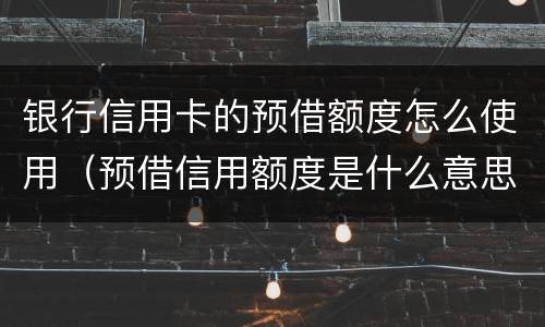 银行信用卡的预借额度怎么使用（预借信用额度是什么意思）