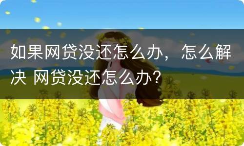 如果网贷没还怎么办，怎么解决 网贷没还怎么办?