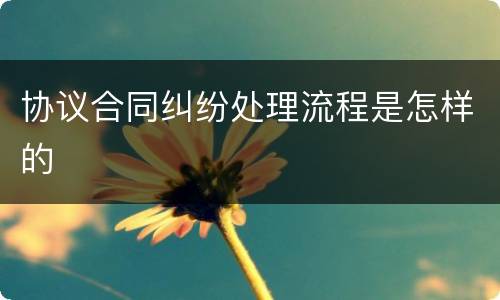 协议合同纠纷处理流程是怎样的