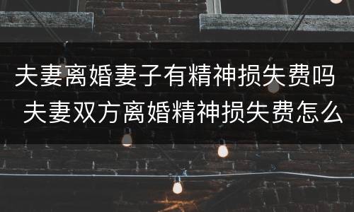 夫妻离婚妻子有精神损失费吗 夫妻双方离婚精神损失费怎么算