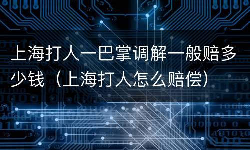 上海打人一巴掌调解一般赔多少钱（上海打人怎么赔偿）