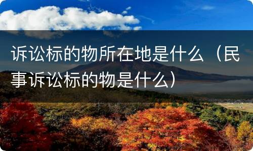 诉讼标的物所在地是什么（民事诉讼标的物是什么）