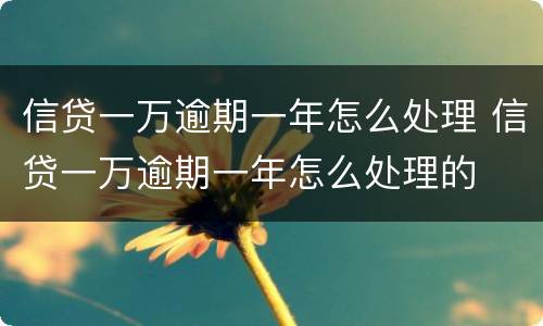 信贷一万逾期一年怎么处理 信贷一万逾期一年怎么处理的