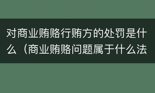 对商业贿赂行贿方的处罚是什么（商业贿赂问题属于什么法）