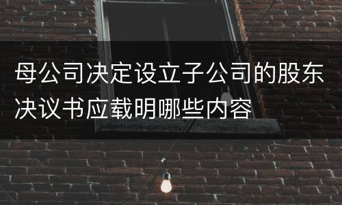 母公司决定设立子公司的股东决议书应载明哪些内容