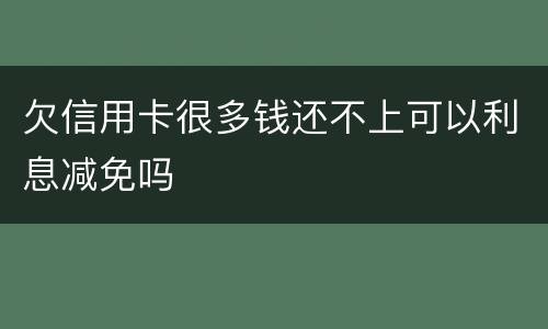 欠信用卡很多钱还不上可以利息减免吗