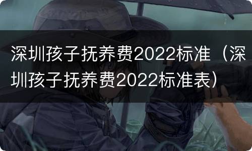 深圳孩子抚养费2022标准（深圳孩子抚养费2022标准表）