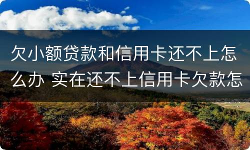 欠小额贷款和信用卡还不上怎么办 实在还不上信用卡欠款怎么办