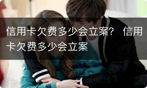 信用卡欠费多少会立案？ 信用卡欠费多少会立案