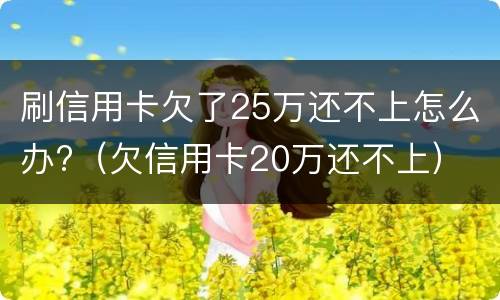 刷信用卡欠了25万还不上怎么办?（欠信用卡20万还不上）
