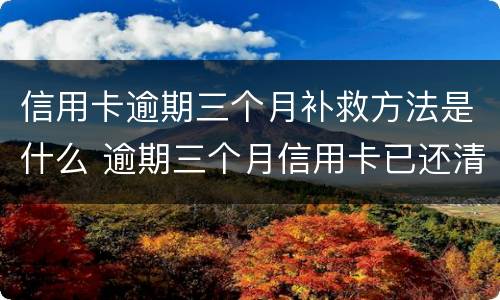 信用卡逾期三个月补救方法是什么 逾期三个月信用卡已还清最低