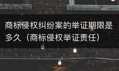 商标侵权纠纷案的举证期限是多久（商标侵权举证责任）