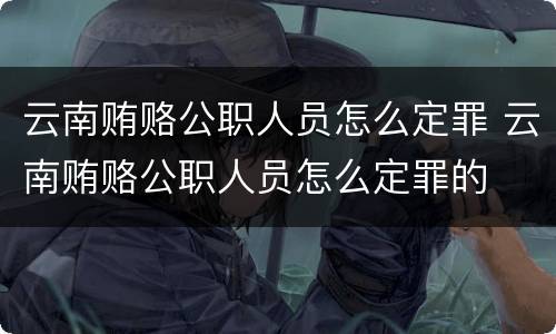 云南贿赂公职人员怎么定罪 云南贿赂公职人员怎么定罪的