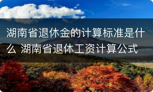 湖南省退休金的计算标准是什么 湖南省退休工资计算公式