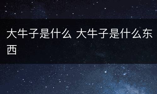 大牛子是什么 大牛子是什么东西