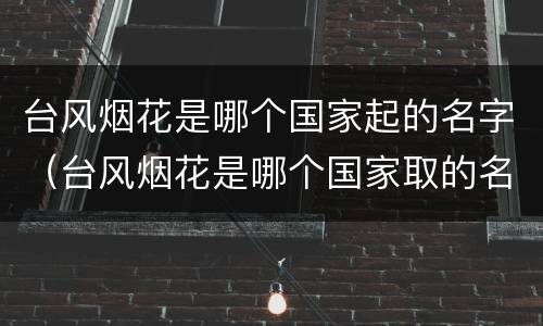 台风烟花是哪个国家起的名字（台风烟花是哪个国家取的名字）