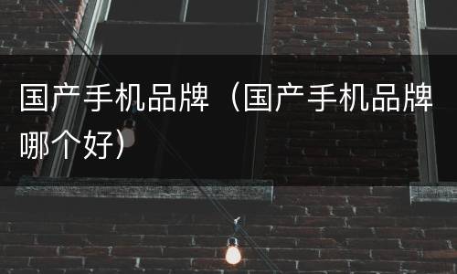 国产手机品牌（国产手机品牌哪个好）