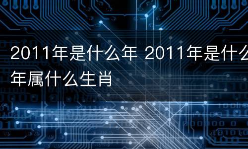 2011年是什么年 2011年是什么年属什么生肖