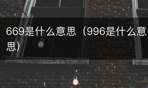 669是什么意思（996是什么意思）