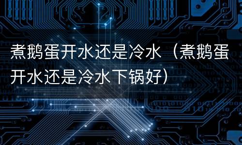 煮鹅蛋开水还是冷水（煮鹅蛋开水还是冷水下锅好）