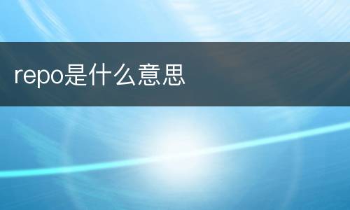repo是什么意思