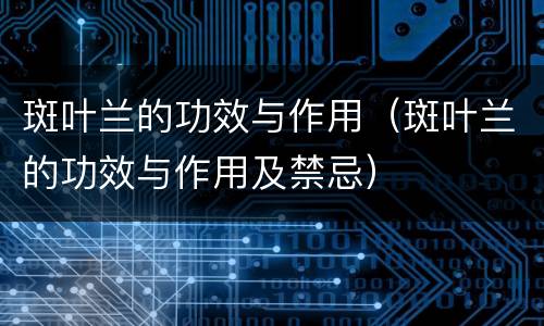 斑叶兰的功效与作用（斑叶兰的功效与作用及禁忌）