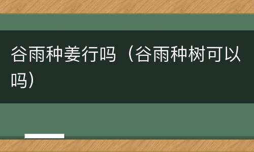 谷雨种姜行吗（谷雨种树可以吗）