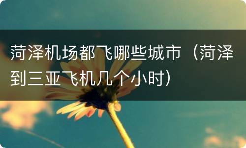 菏泽机场都飞哪些城市（菏泽到三亚飞机几个小时）