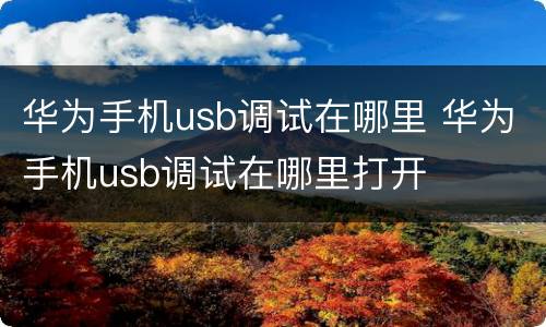 华为手机usb调试在哪里 华为手机usb调试在哪里打开